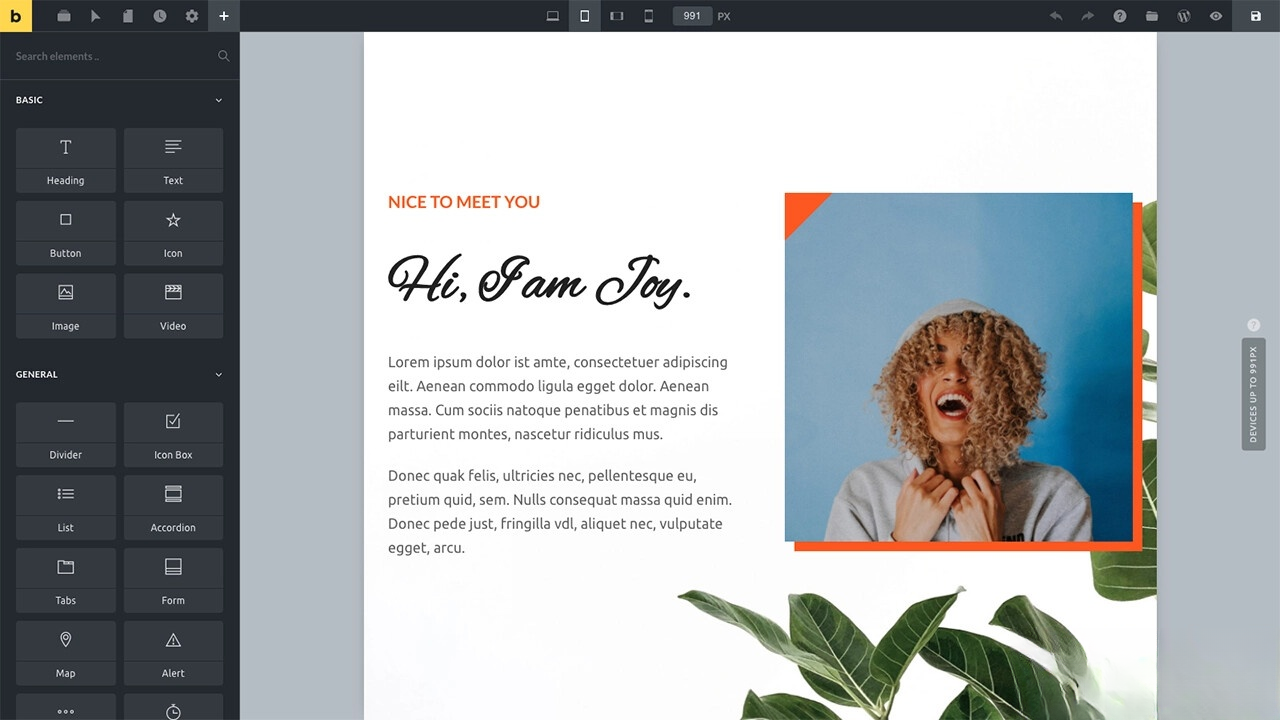 WordPress主题Bricks v1.9 破解版-柚子网创