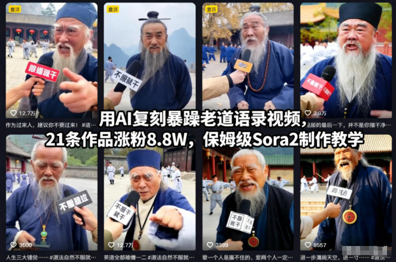 用AI复刻暴躁老道语录视频，21条作品涨粉8.8W，保姆级Sora2制作教学-柚子网创