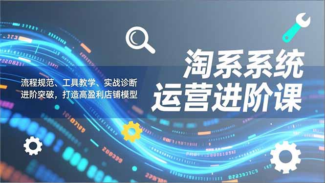 淘系系统运营进阶课2.0，流程规范、工具教学、实战诊断，进阶突破，打造高盈利店铺模型-柚子网创