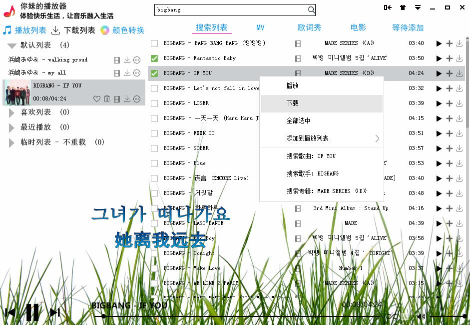 你妹的播放器全套源码功能齐全-柚子网创