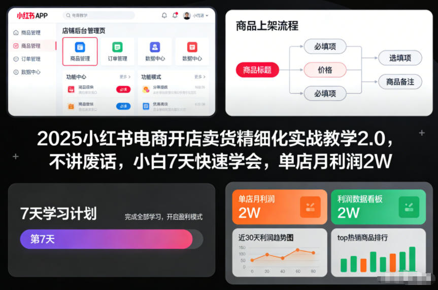 2025小红书电商开店卖货精细化实战教学2.0，不讲废话，小白7天快速学会，单店月利润2W-柚子网创