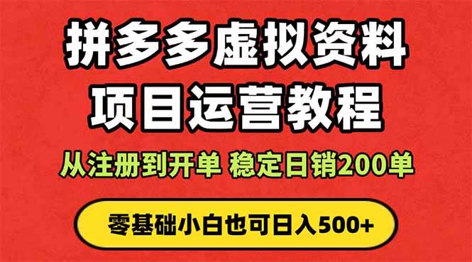 （16220期）拼多多开店运营课程： 蓝海变现玩法，轻松实现睡后收入 零基础小白也可…-柚子网创