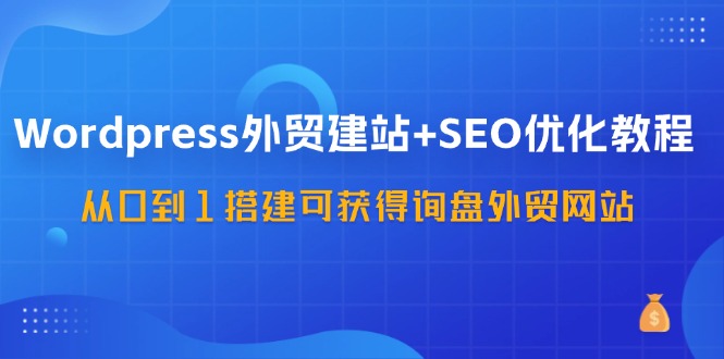 WordPress外贸建站+SEO优化教程，从0到1搭建可获得询盘外贸网站（57节课）-柚子网创