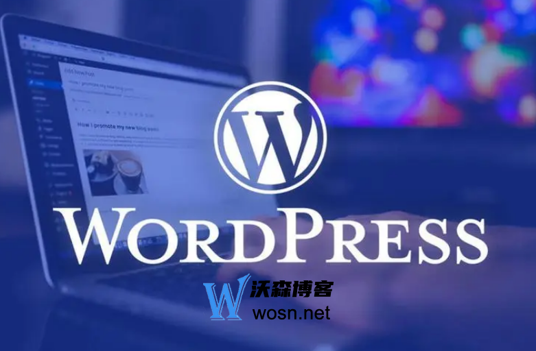 WordPress精选主题有哪些？WordPress国内最好看主题推荐-柚子网创