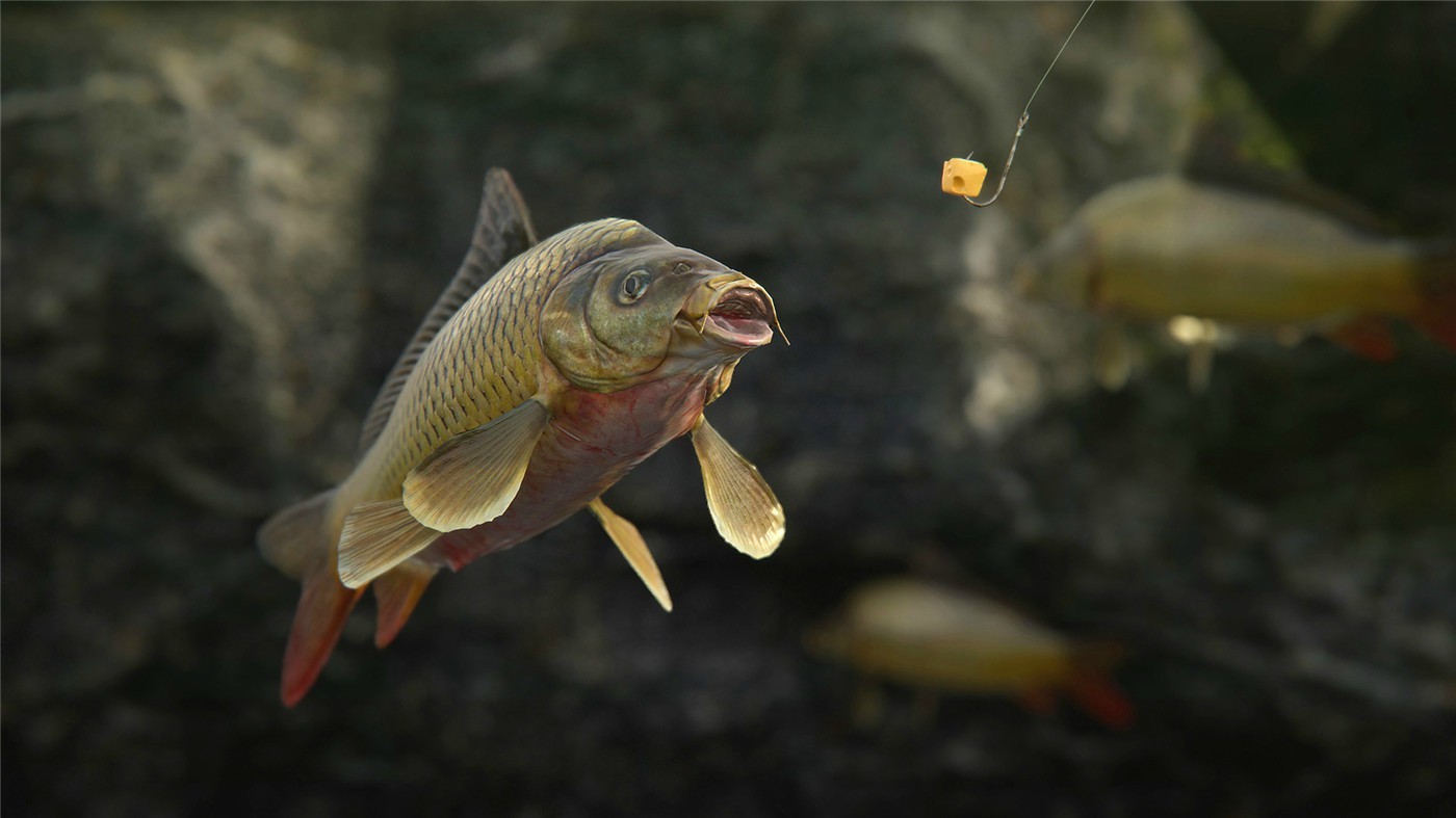 《人渣》v1.1.0.2.99989中文版-柚子网创