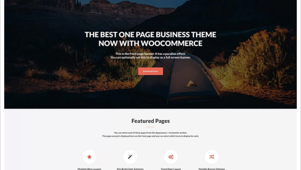 WordPress 优化：借助自定义导航菜单提升 SEO 导航精准性-柚子网创