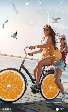 Picsart美易 v29.1.4高级版-柚子网创