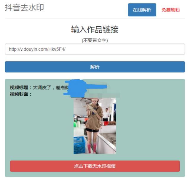 抖音在线去水印网站PHP源码-柚子网创