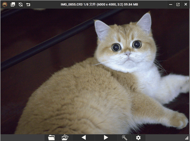 PicView看图工具v4.1.0绿色版-柚子网创