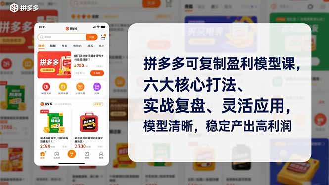 拼多多可复制盈利模型课，六大核心打法、实战复盘、灵活应用，模型清晰，稳定产出高利润-柚子网创