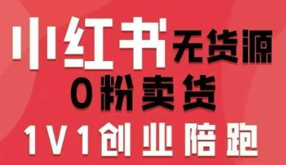 小红书无货源0粉电商课，开店准备、选品策略、笔记撰写、视频剪辑、数据分析、账号打造、资料文档(更新)-柚子网创