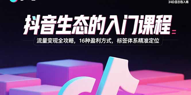 抖音生态的入门课程：流量变现全攻略，16种盈利方式，标签体系精准定位-柚子网创