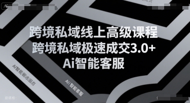 跨境私域线上高级课程，跨境私域极速成交3.0+Ai智能客服-柚子网创