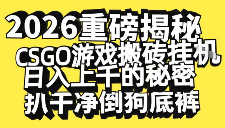 2026开年重磅解密，CSGO游戏搬砖挂G日入1k+的秘密，把倒狗的底裤扒干【揭秘】-柚子网创