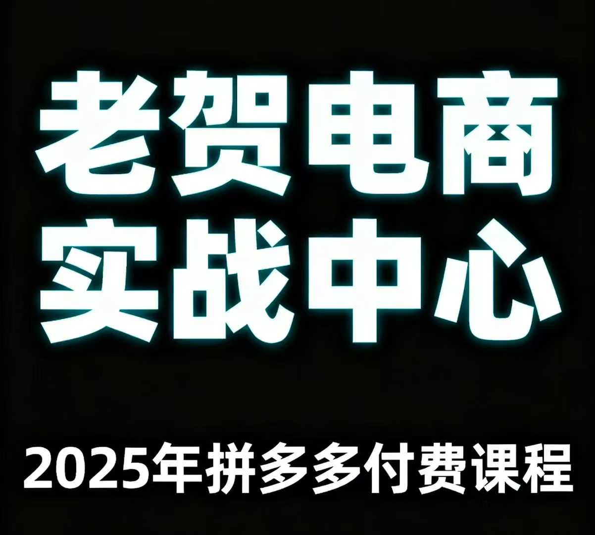 老贺电商2025年拼多多付费课程，用通俗易懂的方法告诉你多多怎么玩-柚子网创