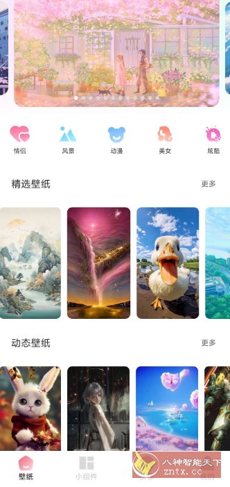 91熊猫桌面主题v1.0.6高级版-柚子网创