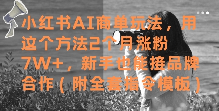 小红书AI商单玩法，用这个方法2个月涨粉7W+，新手也能接品牌合作(附全套指令模板)-柚子网创