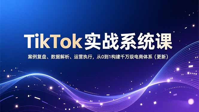 TikTok实战系统课，案例复盘、数据解析、运营执行，从0到1构建千万级电商体系(更新-柚子网创