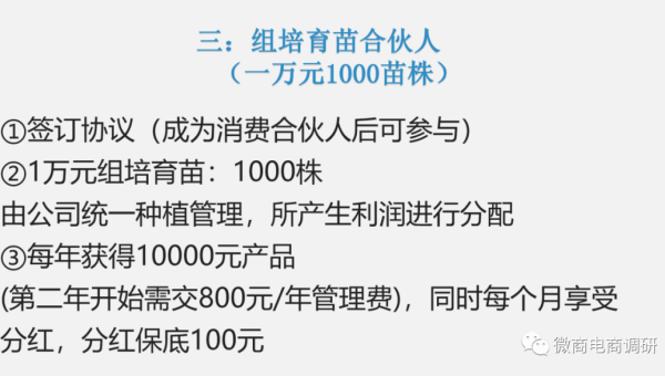 WordPress 优化文章下划线使用提升 SEO 内容区分度-柚子网创