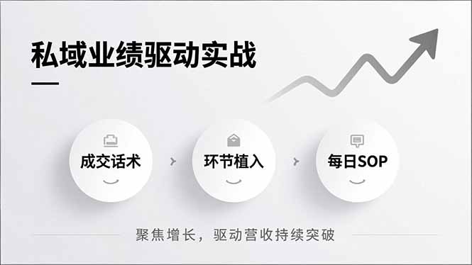 私域业绩驱动实战，成交话术、环节植入、每日SOP，聚焦增长，驱动营收持续突破-柚子网创