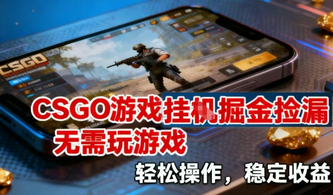 CSGO游戏挂G掘金捡漏，不需要玩游戏，操作简单，收益稳定【揭秘】-柚子网创