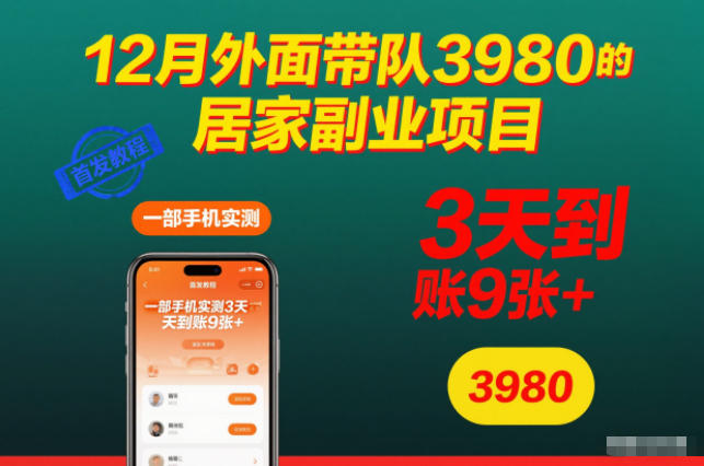 12月外面带队3980的居家副业项目，一部手机实测3天到账9张+，首发教程【揭秘】-柚子网创