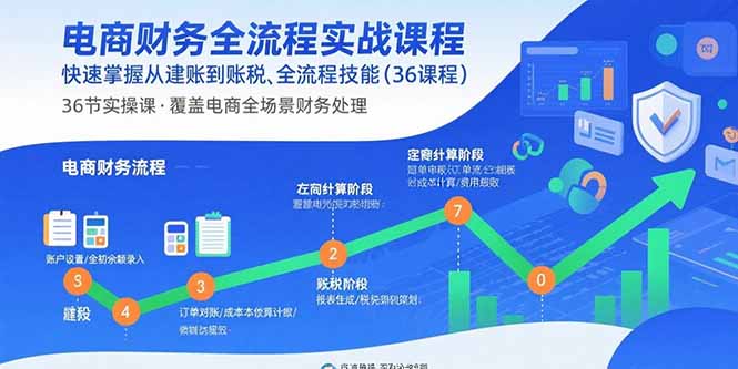 电商财务全流程实战课程：快速掌握从建账到报税的全流程技能(36节课-柚子网创
