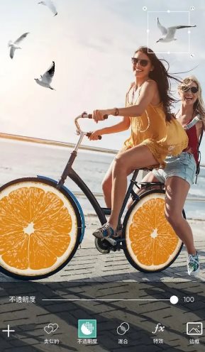 Picsart美易 v29.0.9高级版-柚子网创