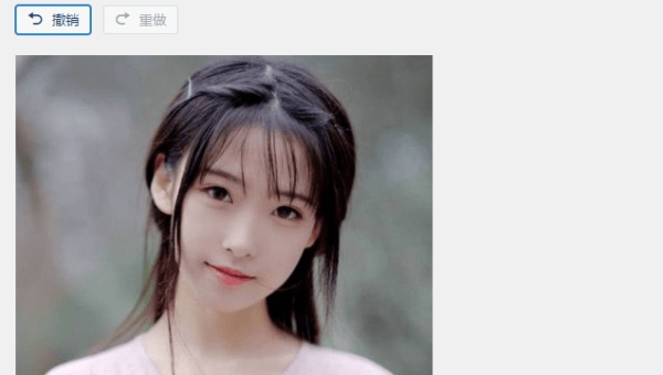 z - BlogPHP 博客 SEO：利用 WordPress 块的自定义属性优化特定元素 SEO-柚子网创