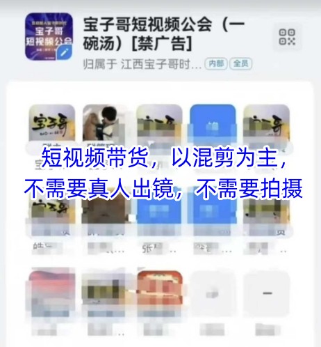 宝子哥头部团队短视频带货，以混剪为主，不需要真人出镜，不需要拍摄【更新12月】-柚子网创