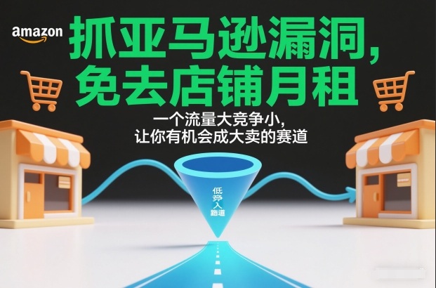 抓亚马逊漏洞，免去店铺月租，一个流量大竞争小，让你有机会成大卖的赛道-柚子网创
