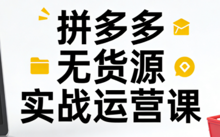 子枫老师·拼多多无货源实战运营课(更新12月)-柚子网创