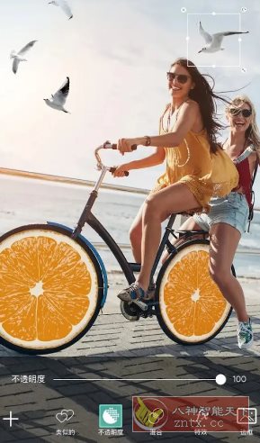 Picsart美易 v28.9.10 高级版-柚子网创